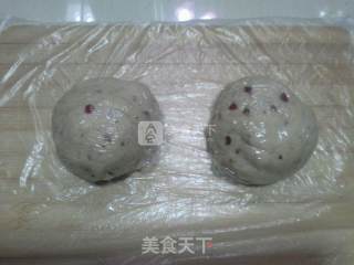 蔓越莓毛毛虫面包的做法步骤：3