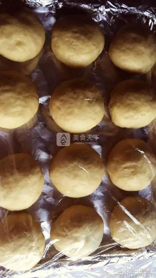蓝莓小餐包by：普蓝高科蓝莓美食特约撰稿人的做法步骤：8