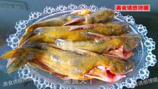 泡椒豆腐焖黄蜂鱼的做法步骤：2