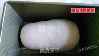 纯奶肉松吐司的做法步骤：7