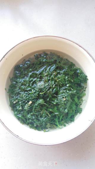 荠菜馄饨的做法步骤：5