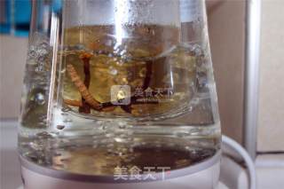 冬季调身养心虫草茶的做法步骤：7
