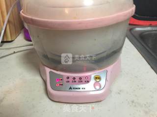 燕窝桃胶炖的做法步骤：8