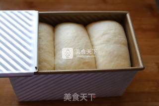 中种北海道吐司的做法步骤：15