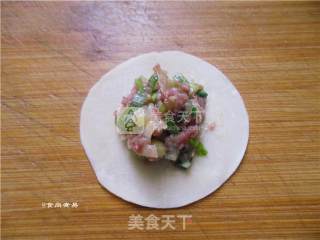羊肉芹菜饺的做法步骤：7