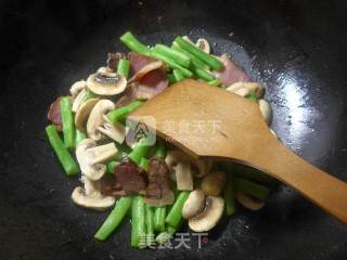 蘑菇酱肉炒梅豆的做法步骤：5