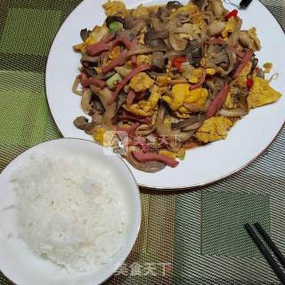 平菇炒鸡蛋的做法步骤：10
