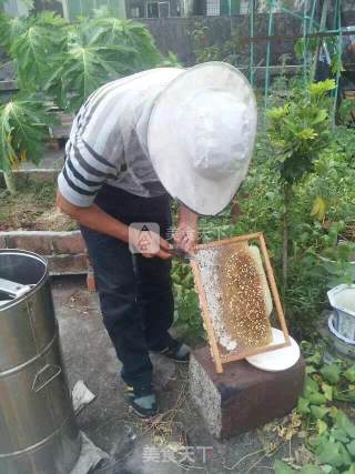 冬蜂蜜的做法步骤：2