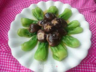香菇扒油菜的做法步骤：11
