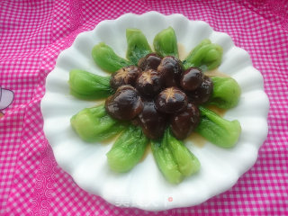 香菇扒油菜的做法步骤：12