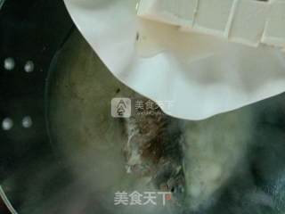 鲫鱼豆腐汤的做法步骤：9