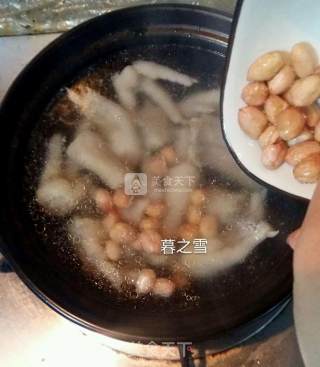 花生凤爪汤的做法步骤：4