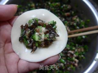 韭菜黑木耳馅饺子的做法步骤：10