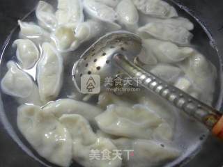 韭菜黑木耳馅饺子的做法步骤：14