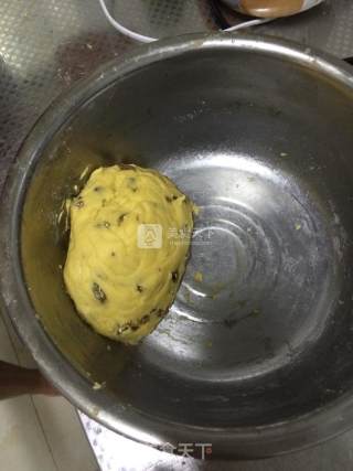 蔓越梅饼干的做法步骤：7
