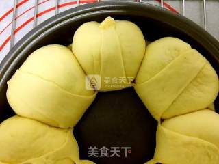 用手撕着吃的肉松面包的做法步骤：14