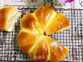 用手撕着吃的肉松面包的做法步骤：17