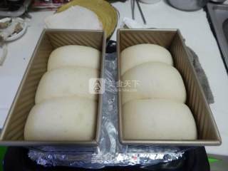 奶香面包的做法步骤：12