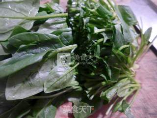 江白虾炒菠菜的做法步骤：2
