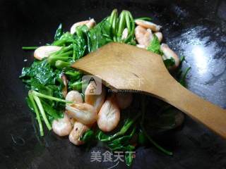 江白虾炒菠菜的做法步骤：5