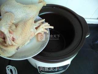 北芪当参红枣炖鸡的做法步骤：3