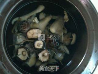当归党参老母鸡汤的做法步骤：7
