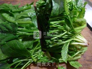 牛肚炒菠菜的做法步骤：3