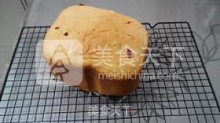 欧式蔓越莓吐司的做法步骤：10