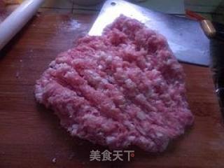 白菜猪肉水饺——冬至吃饺子，不怕冻耳朵的做法步骤：3