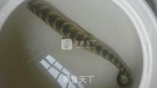 海蛇老鸡汤的做法步骤：2