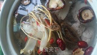 海蛇老鸡汤的做法步骤：6