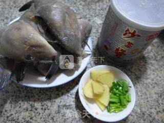 沙茶酱烧小橡皮鱼的做法步骤：1