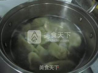 冬至日的养生美食---鲜肉水饺的做法步骤：10