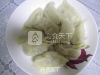 冬至日的养生美食---鲜肉水饺的做法步骤：11