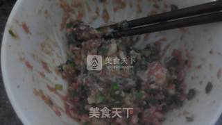 肉与饼的完美结合——千层肉饼的做法步骤：2