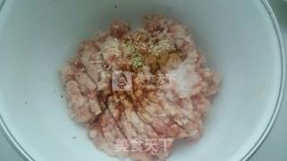 猪肉大馅饼的做法步骤：6