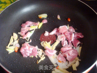 肉片炖粉皮的做法步骤：3