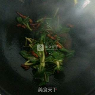 肉丝炒面的做法步骤：9
