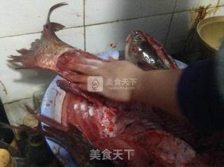 如何腌制腊鱼的做法步骤：4