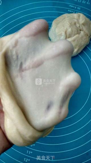 葡萄干果仁包的做法步骤：4