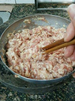 鲜肉大包子的做法步骤：13