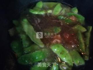猪肉豆角炖粉条的做法步骤：4