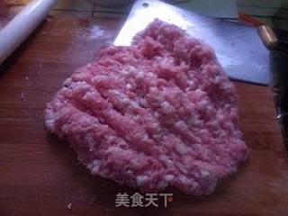 猪肉白菜包子——附详细包包子过程的做法步骤：8