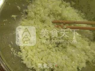 猪肉白菜包子——附详细包包子过程的做法步骤：9