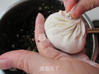 马齿苋肉包子的做法步骤：9