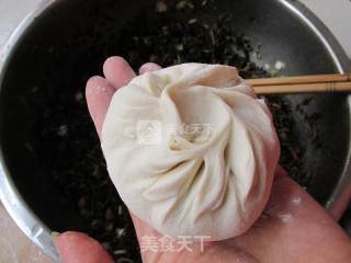 马齿苋肉包子的做法步骤：10