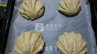 椰蓉馅奶油贝壳面包的做法步骤：12