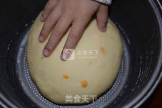 椰蓉小排包的做法步骤：4