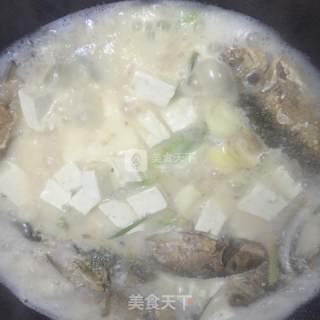 奶白鲫鱼豆腐汤的做法步骤：8