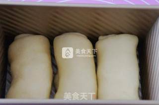 葡萄干土司的做法步骤：7